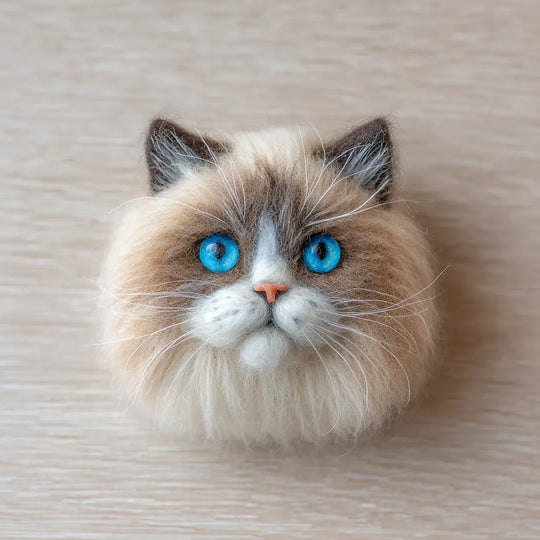 Customised Pet Ornaments